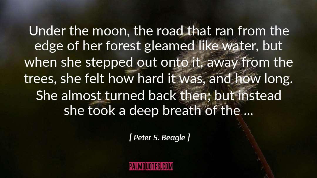 Click Of Moon quotes by Peter S. Beagle