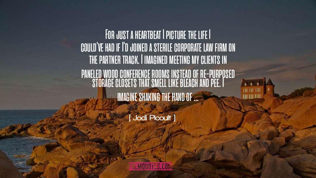 Client quotes by Jodi Picoult