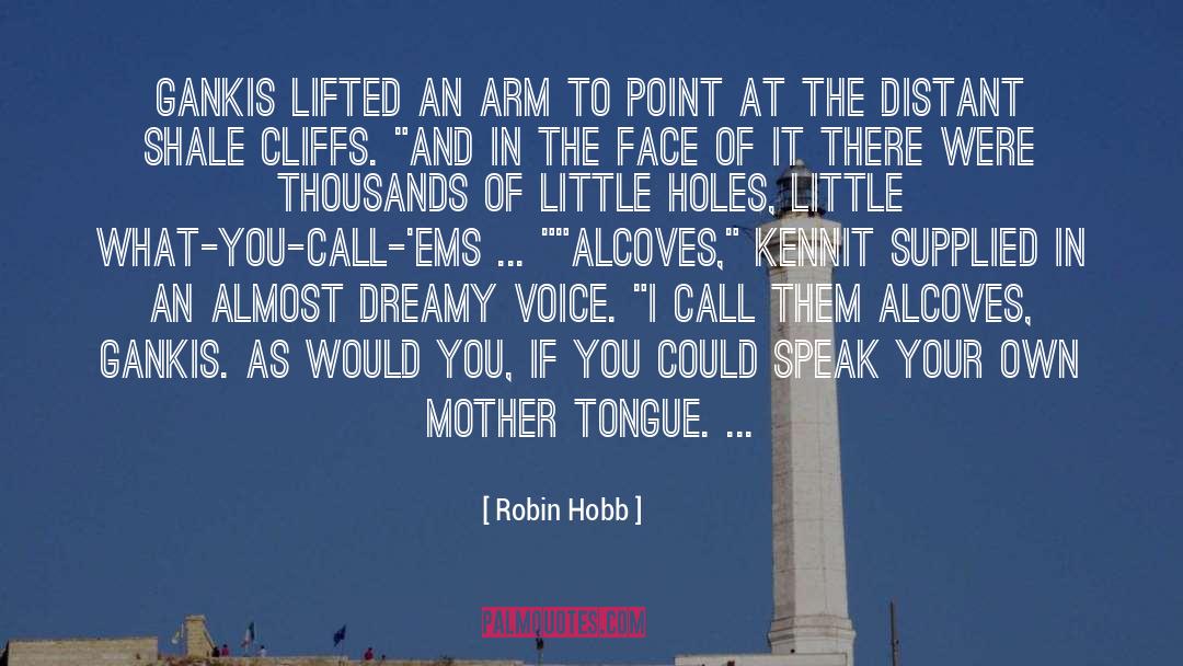 Cliffs quotes by Robin Hobb