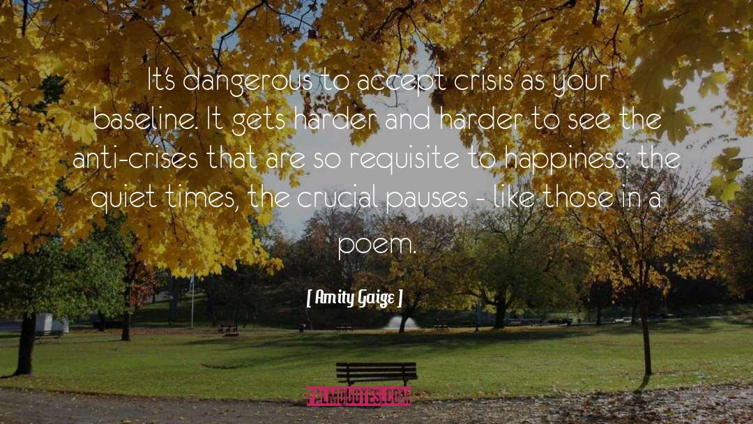 Climate Crisis quotes by Amity Gaige