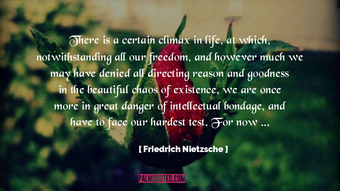 Climax quotes by Friedrich Nietzsche