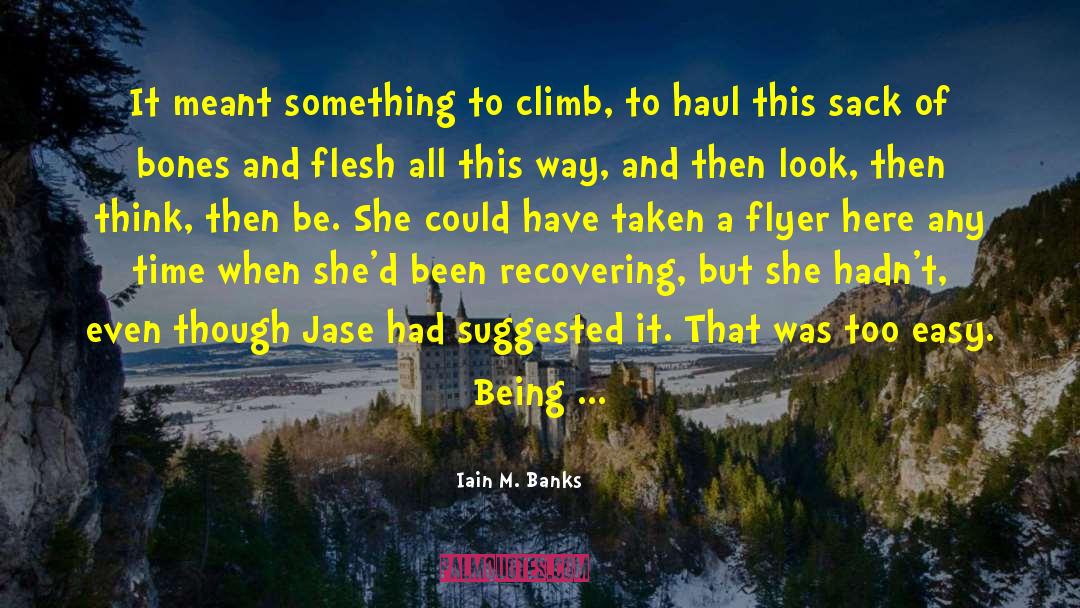 Climb Motivational quotes by Iain M. Banks