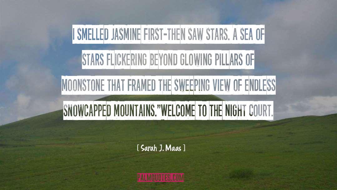 Climb Mountains quotes by Sarah J. Maas