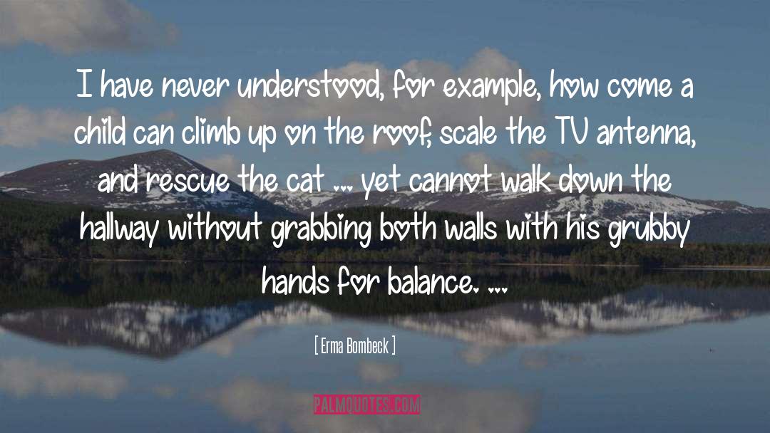 Climb quotes by Erma Bombeck