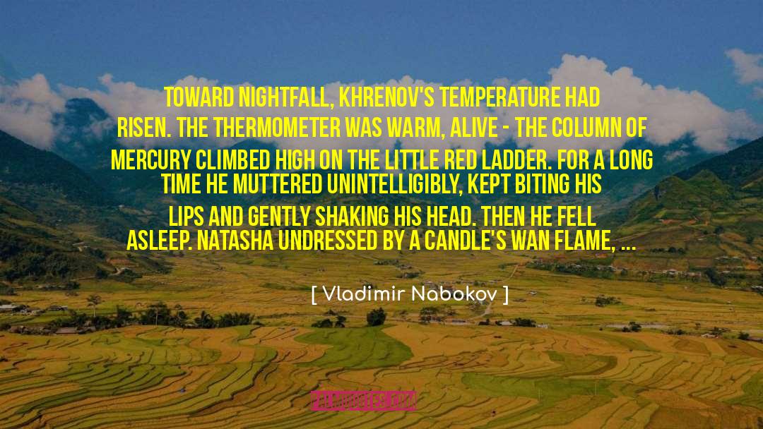 Climbed quotes by Vladimir Nabokov