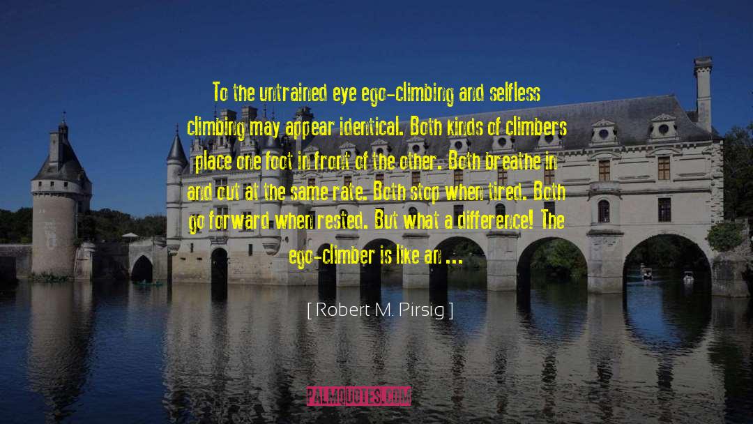 Climber quotes by Robert M. Pirsig