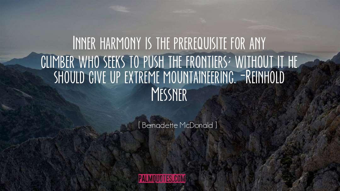 Climber quotes by Bernadette McDonald