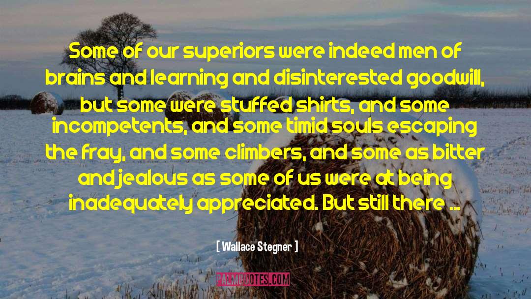 Climbers quotes by Wallace Stegner