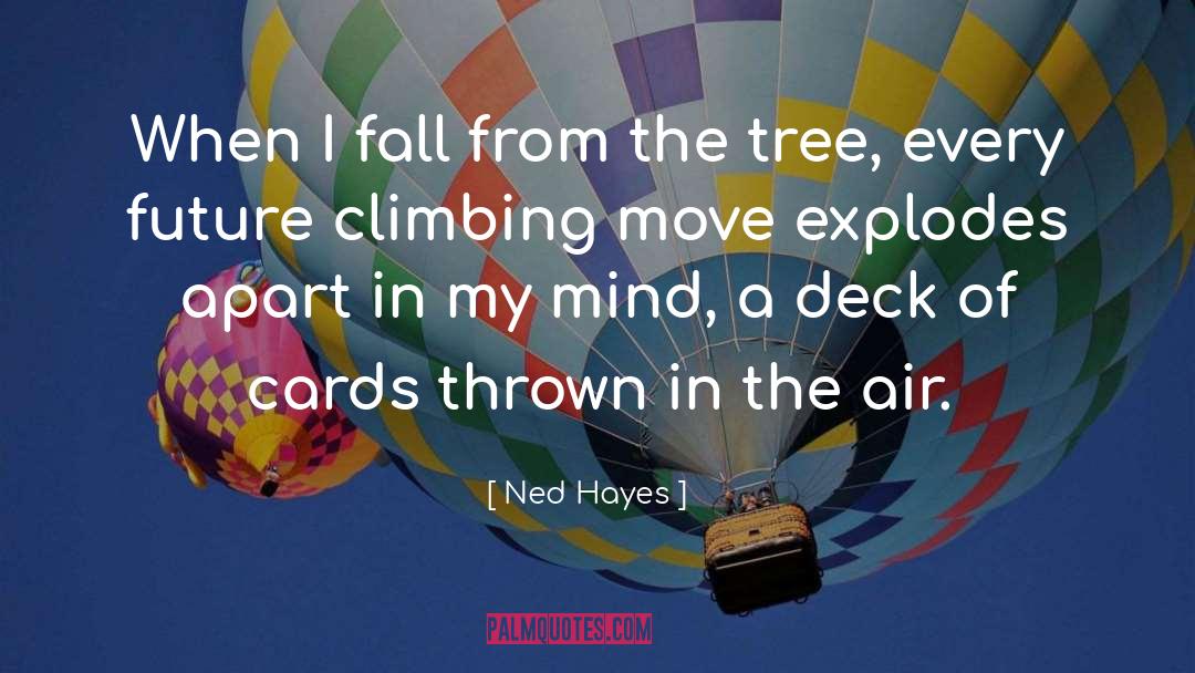 Climbing Moun quotes by Ned Hayes
