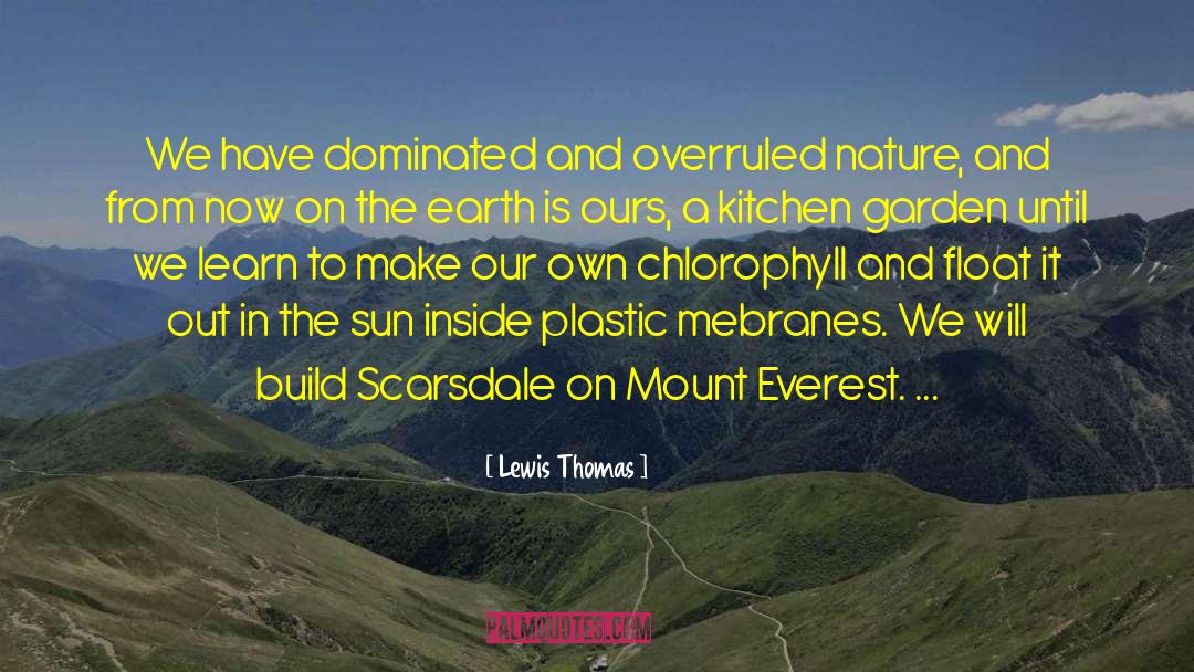 Climbing Mount Everest quotes by Lewis Thomas