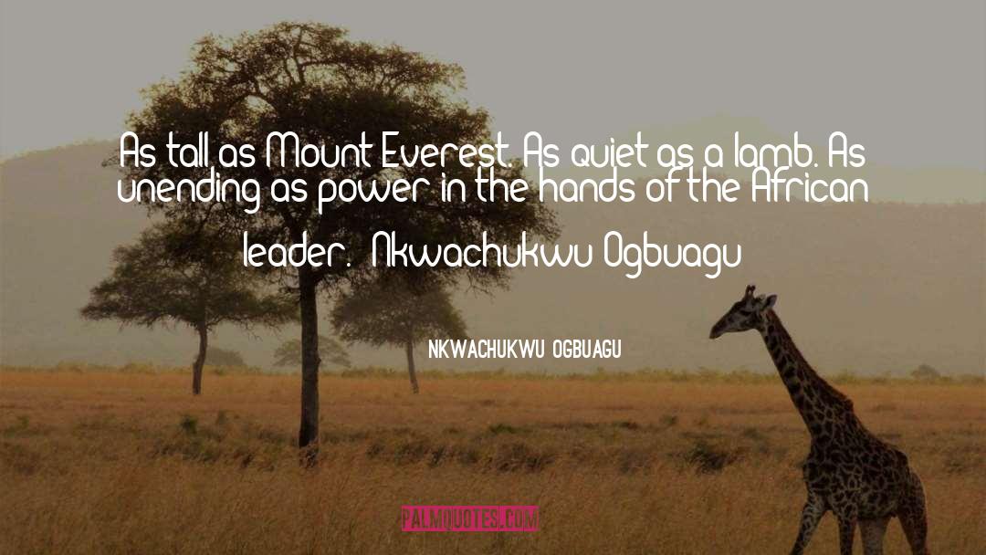 Climbing Mount Everest quotes by Nkwachukwu Ogbuagu