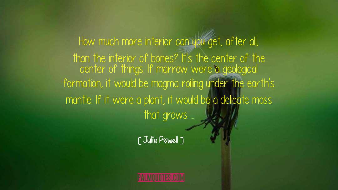 Climbing Mount Everest quotes by Julie Powell