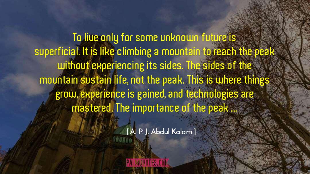 Climbing Mountain Purgatorio quotes by A. P. J. Abdul Kalam