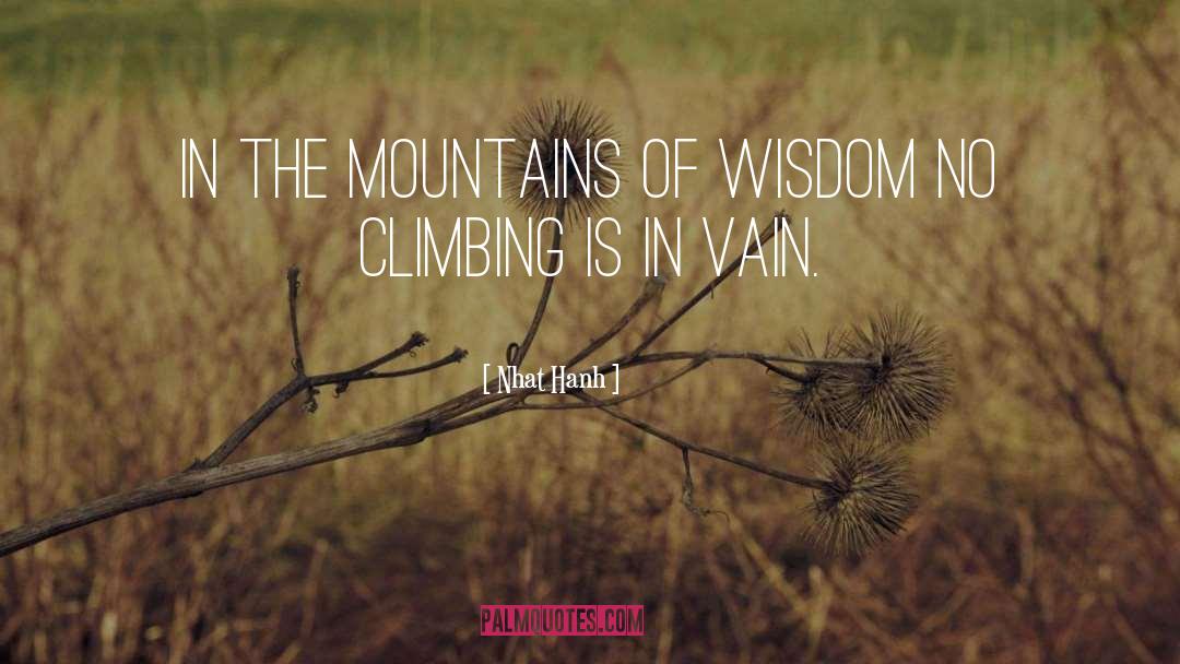 Climbing Mountain Purgatorio quotes by Nhat Hanh