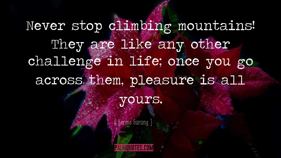 Climbing Mountains quotes by Karma Gurung