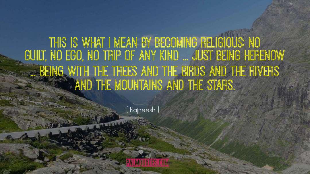 Climbing Mountains quotes by Rajneesh