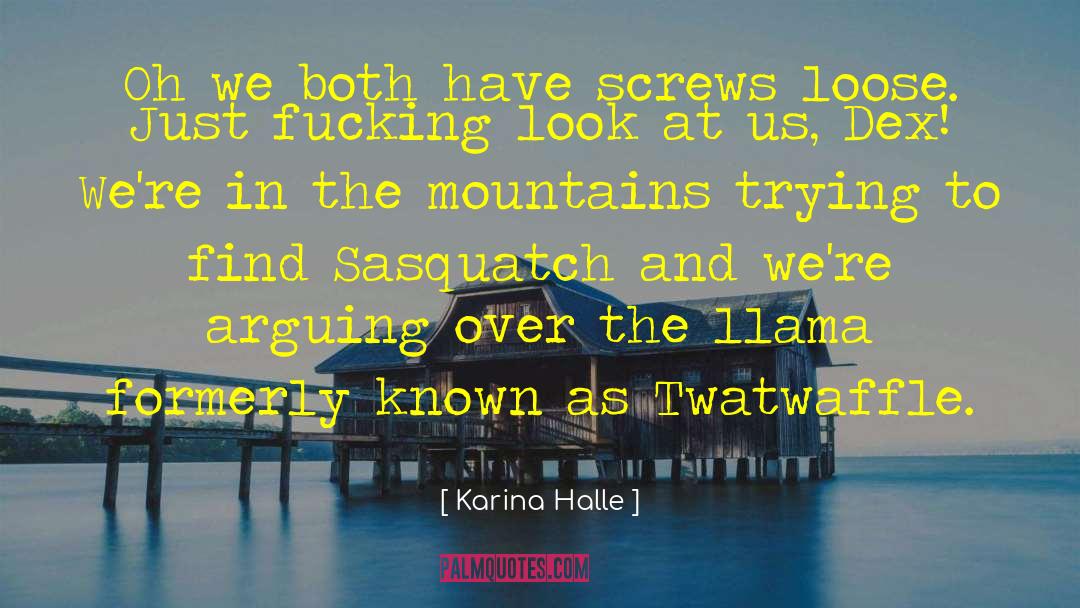 Climbing Mountains quotes by Karina Halle