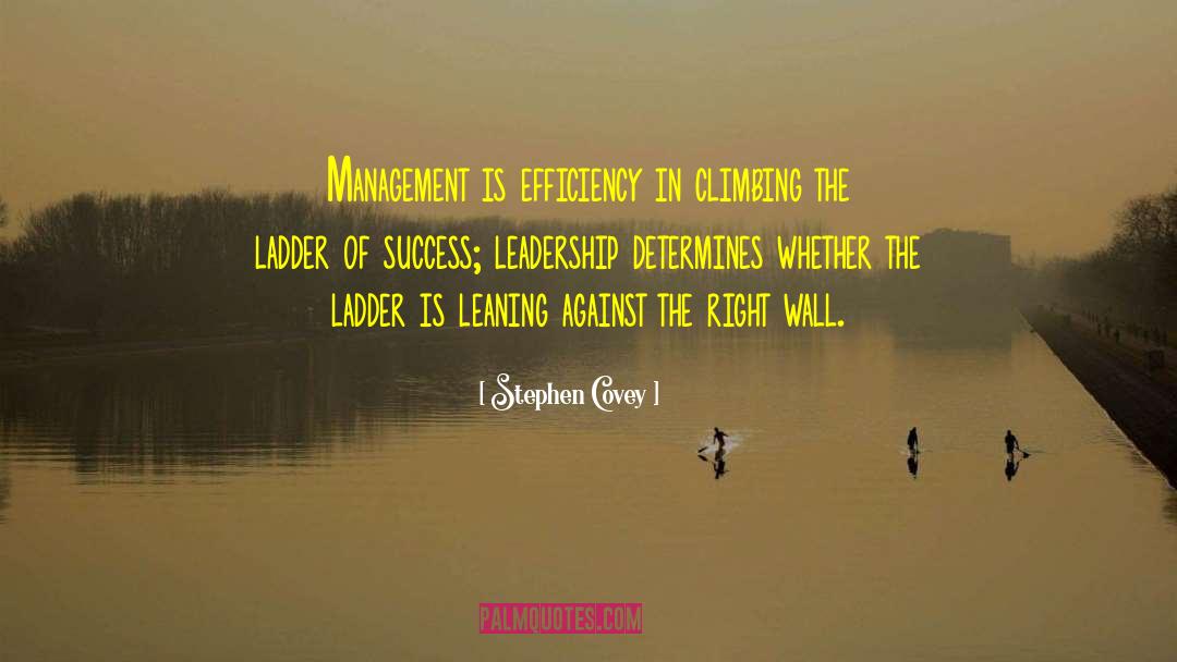 Climbing The Ladder quotes by Stephen Covey