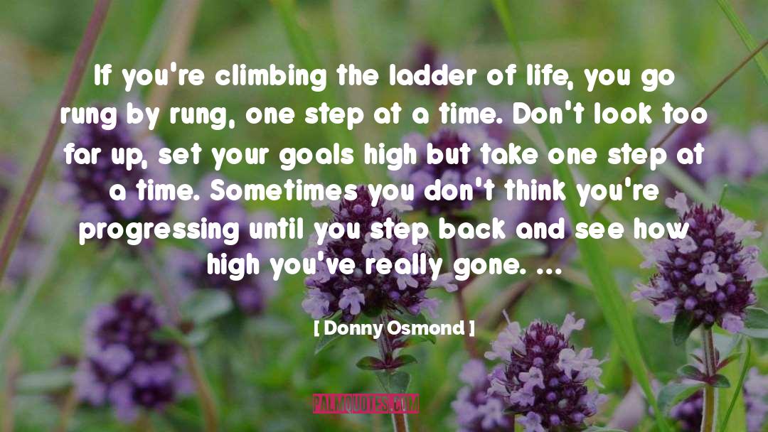 Climbing The Ladder quotes by Donny Osmond