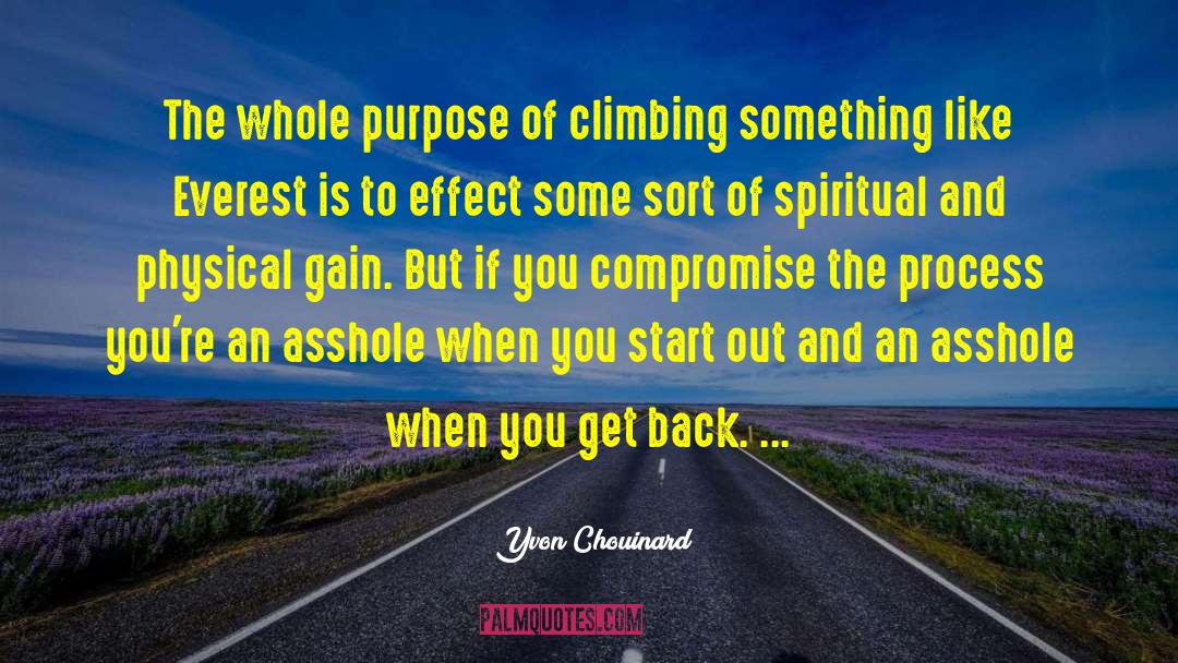 Climbing The Ladder quotes by Yvon Chouinard