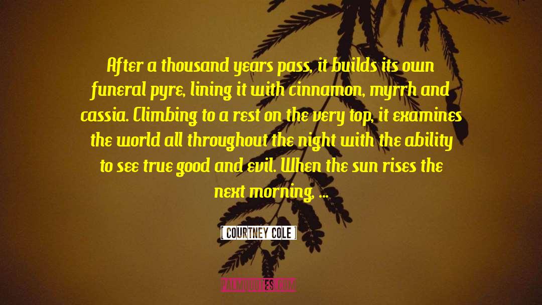 Climbing The Ladder quotes by Courtney Cole