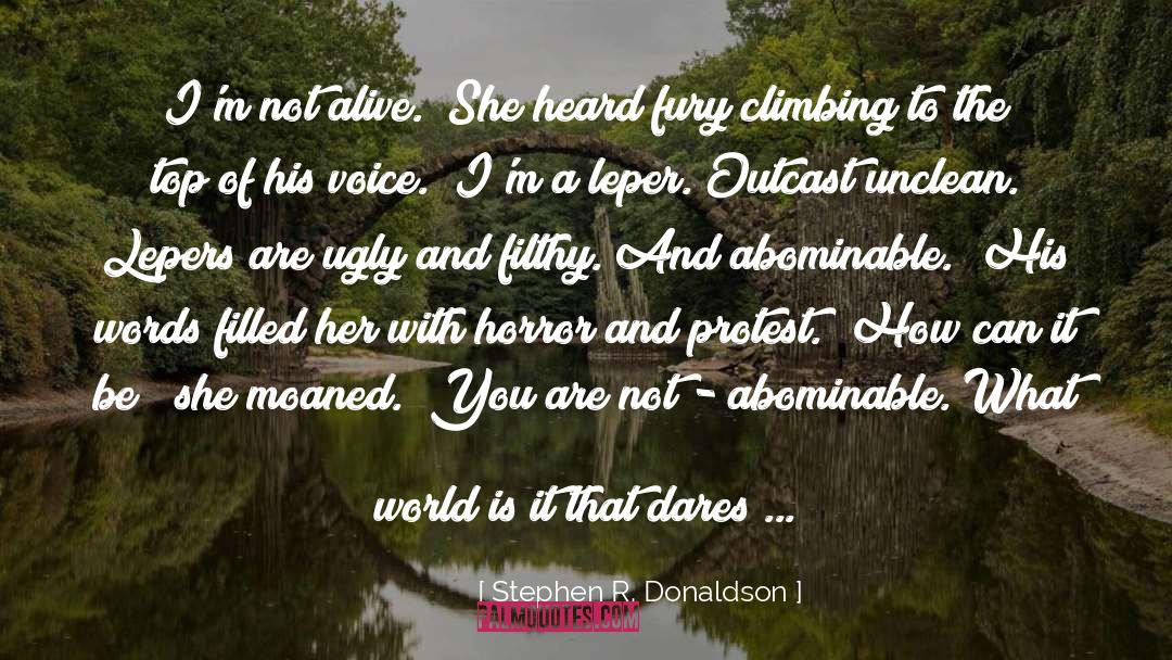 Climbing To The Top quotes by Stephen R. Donaldson