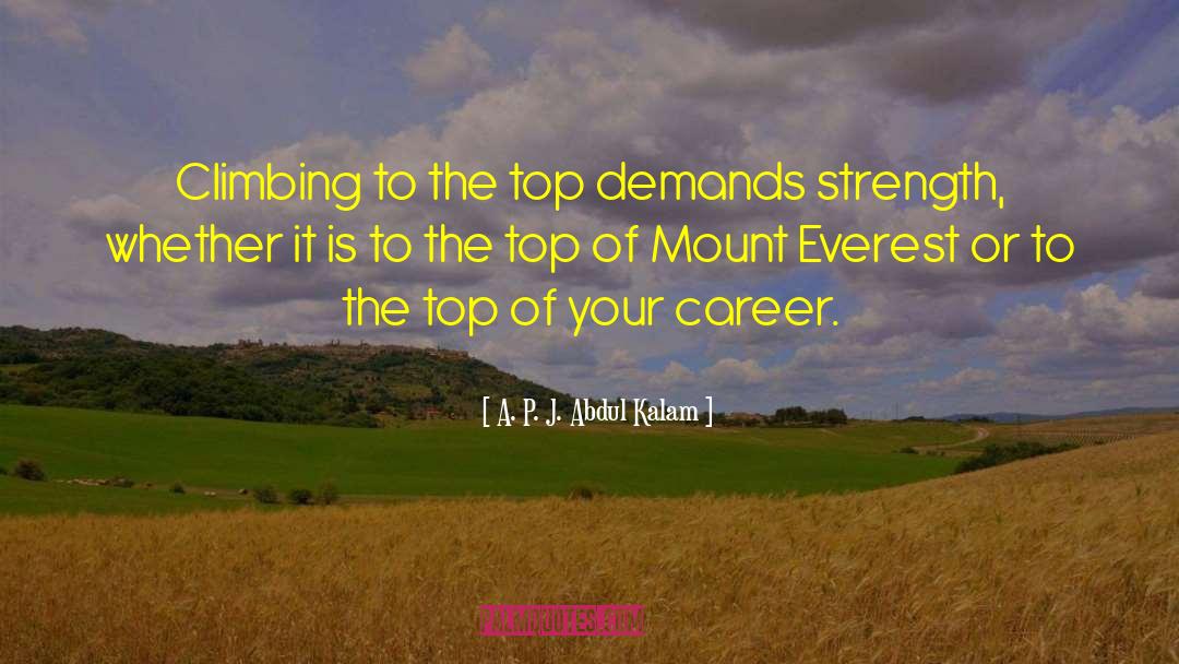 Climbing To The Top quotes by A. P. J. Abdul Kalam