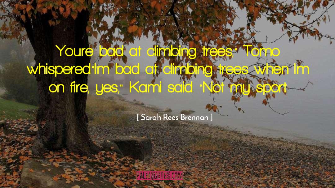 Climbing Trees quotes by Sarah Rees Brennan