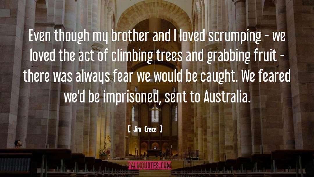 Climbing Trees quotes by Jim Crace