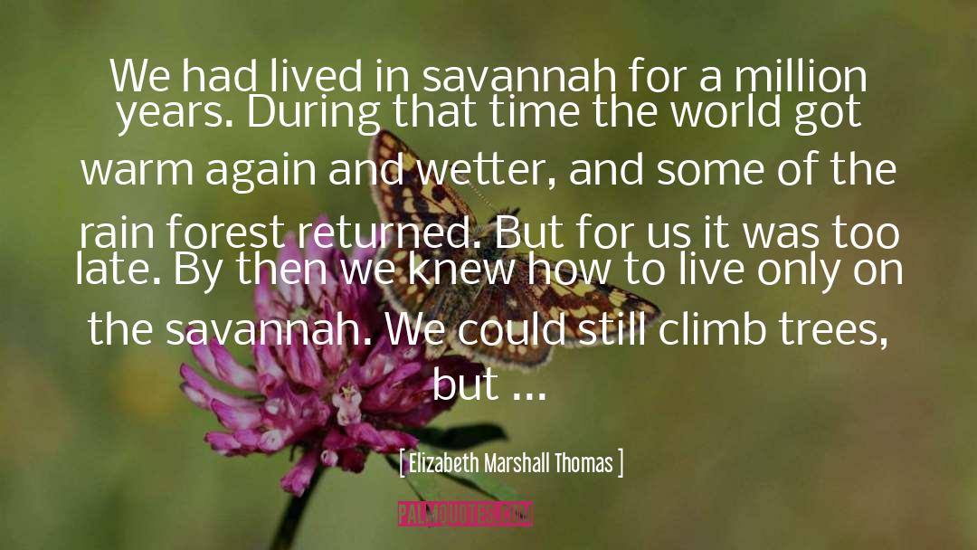 Climbing Trees quotes by Elizabeth Marshall Thomas