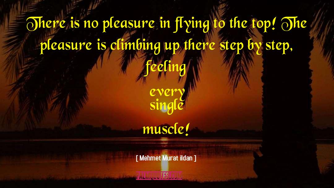 Climbing Up quotes by Mehmet Murat Ildan