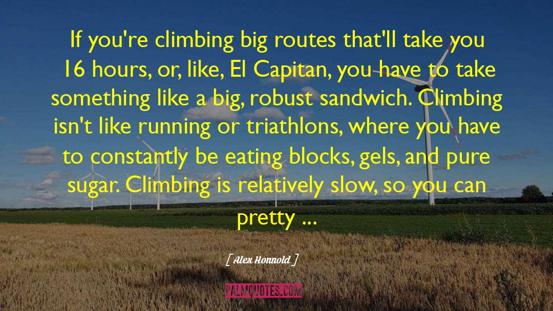 Climbing Up quotes by Alex Honnold