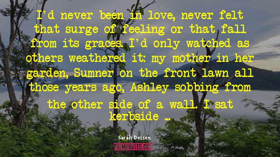 Climbing Wall quotes by Sarah Dessen