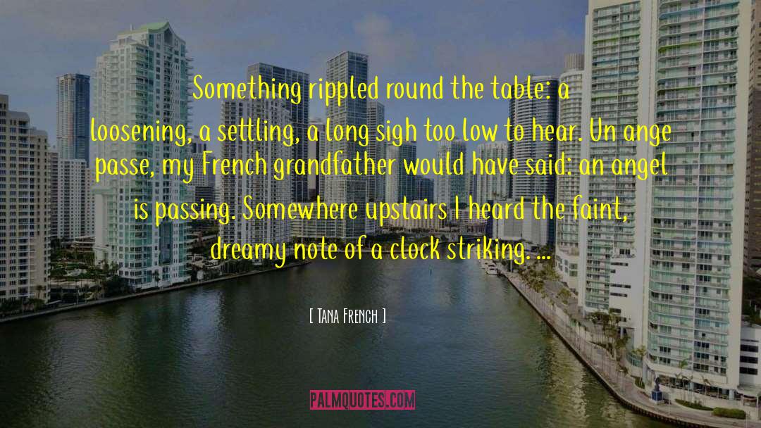 Clock Is Ticking quotes by Tana French