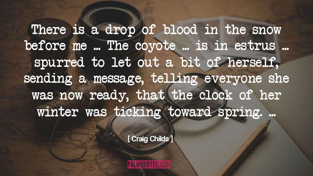 Clock quotes by Craig Childs