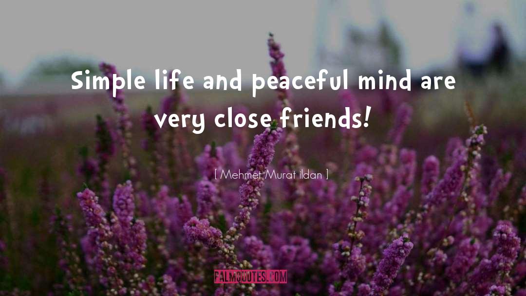 Close Friends quotes by Mehmet Murat Ildan