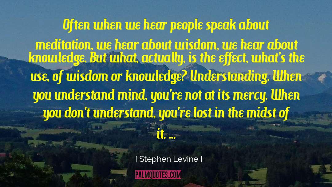Closed Mind quotes by Stephen Levine