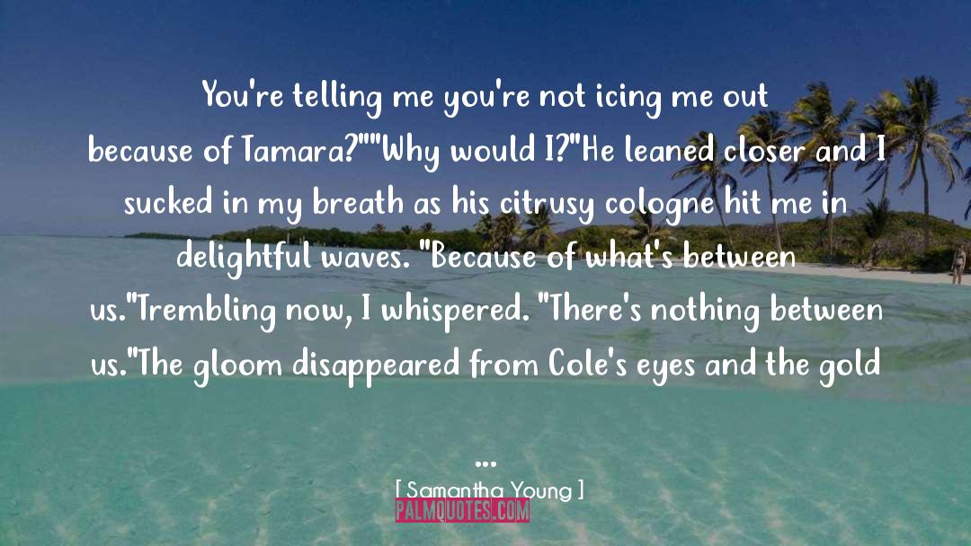 Closer Inspection quotes by Samantha Young