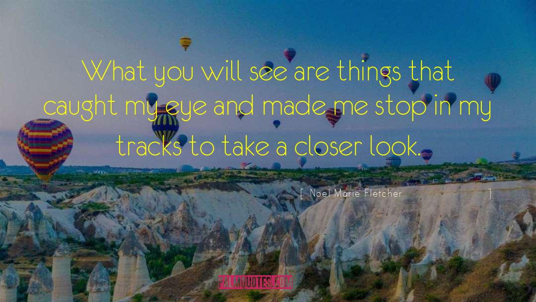 Closer Look quotes by Noel Marie Fletcher