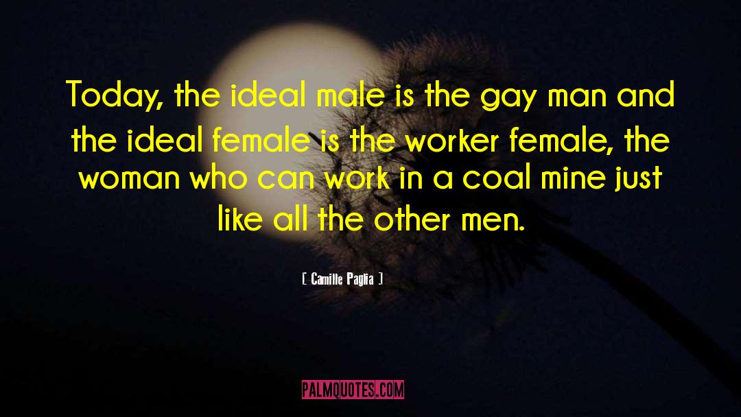 Closeted Gay Men quotes by Camille Paglia