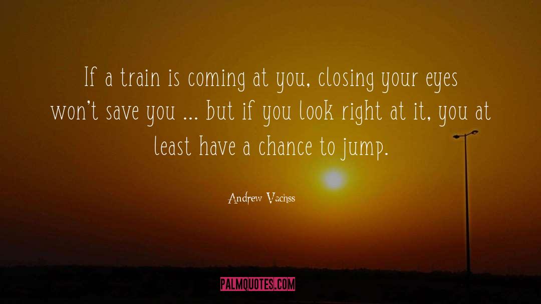 Closing Your Eyes quotes by Andrew Vachss