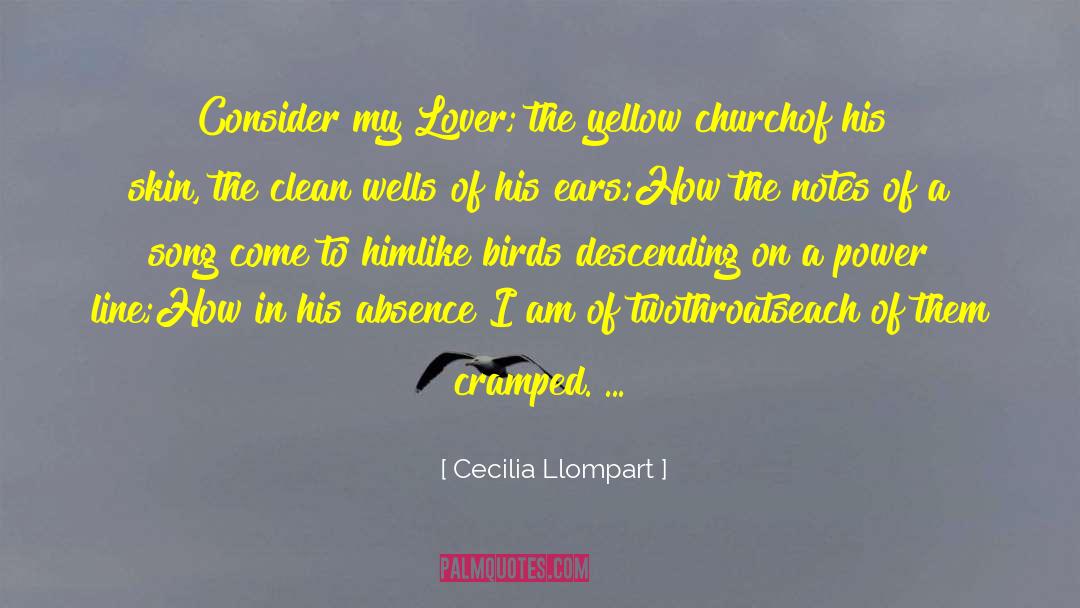 Clothing Line quotes by Cecilia Llompart