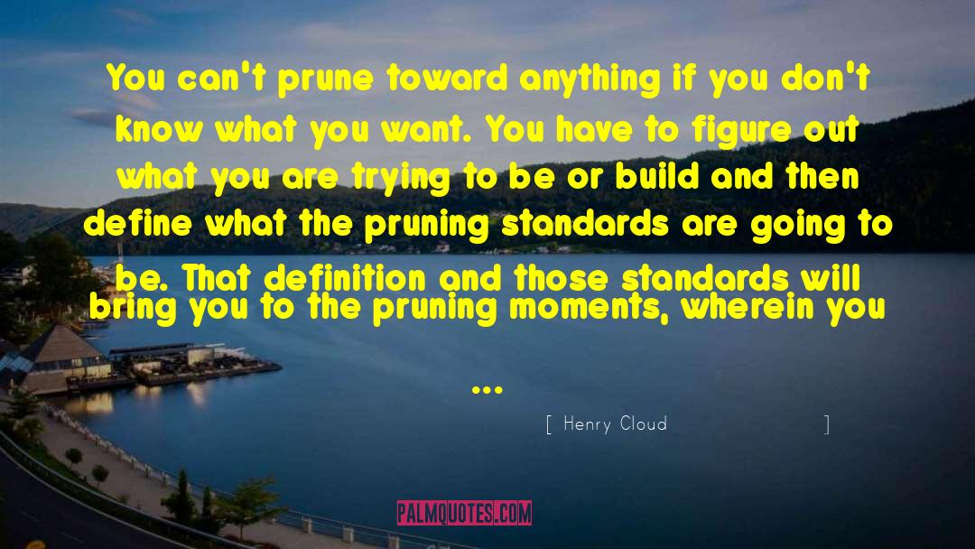 Cloud Nine quotes by Henry Cloud