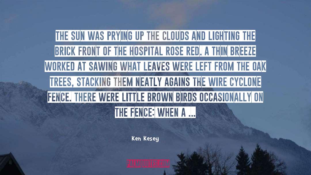Clouds With Rain quotes by Ken Kesey