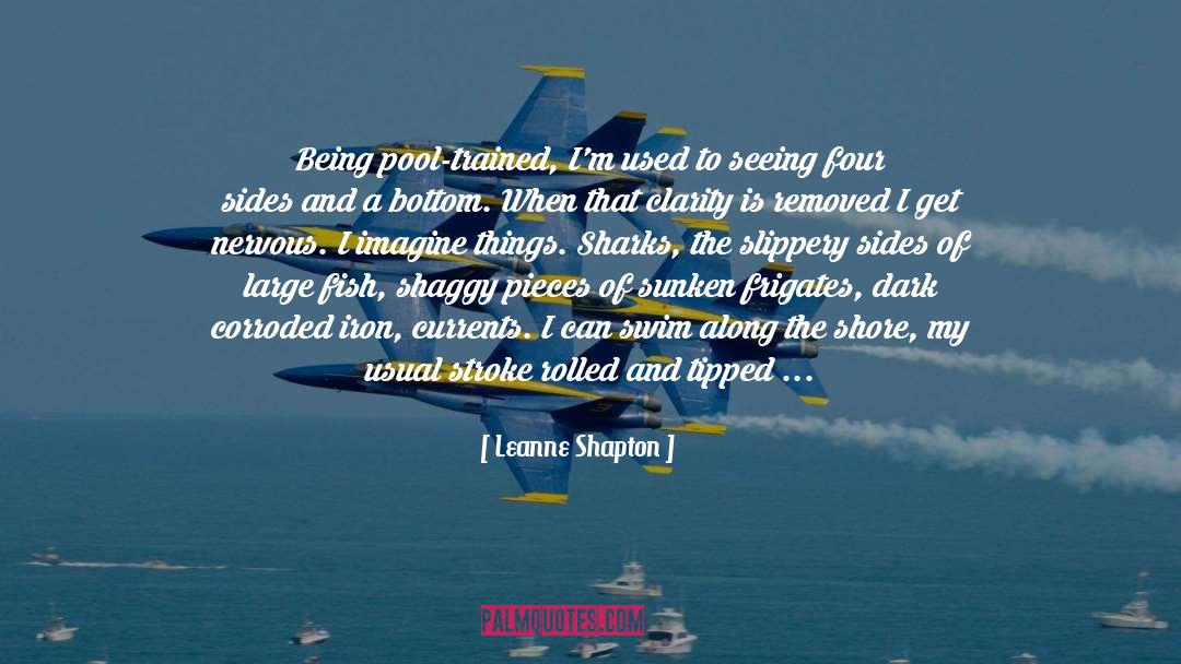 Cloudy quotes by Leanne Shapton