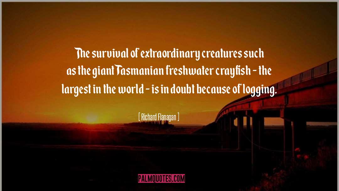 Clouser Crayfish quotes by Richard Flanagan
