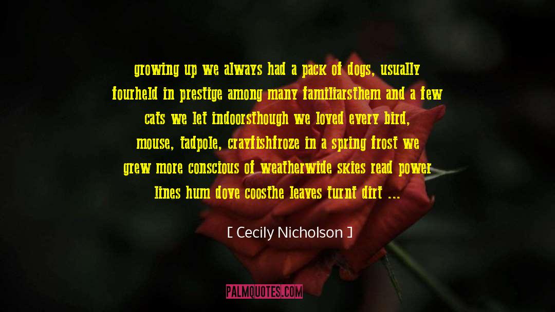 Clouser Crayfish quotes by Cecily Nicholson
