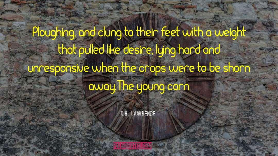 Clung quotes by D.H. Lawrence