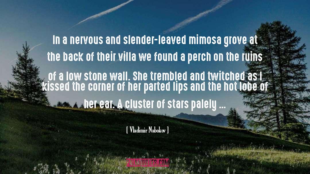 Cluster quotes by Vladimir Nabokov
