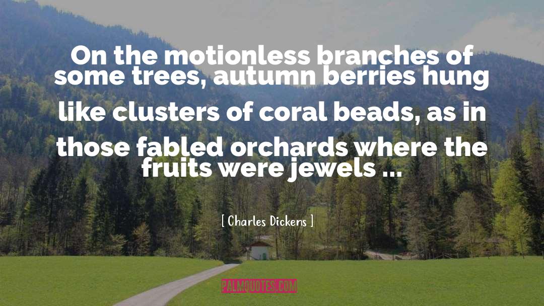 Clusters quotes by Charles Dickens